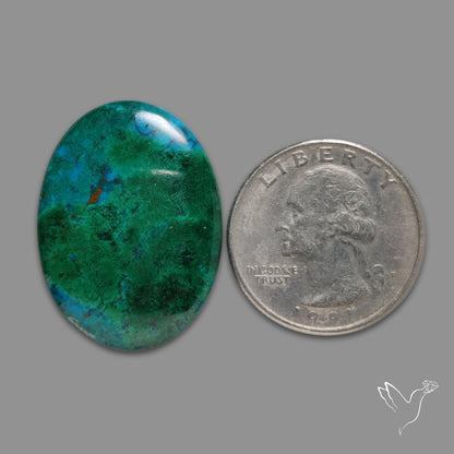 Chrysocolla Malachite Cabochon