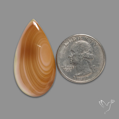 Imperial Jasper Cabochon