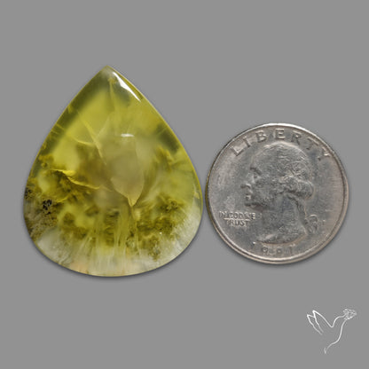 Australian Prehnite Cabochon