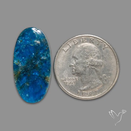 Neon Apatite Cabochon