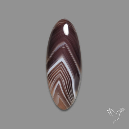 Botswana Agate Cabochon
