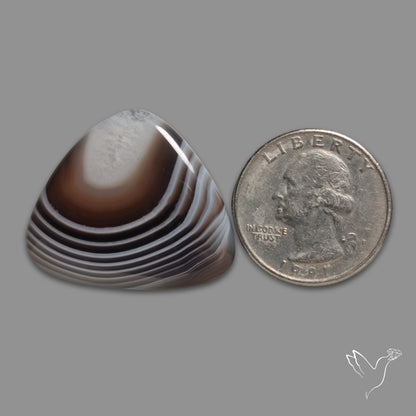 Botswana Agate Cabochon