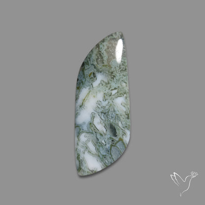White Horse Canyon Moss Agate Cabochon