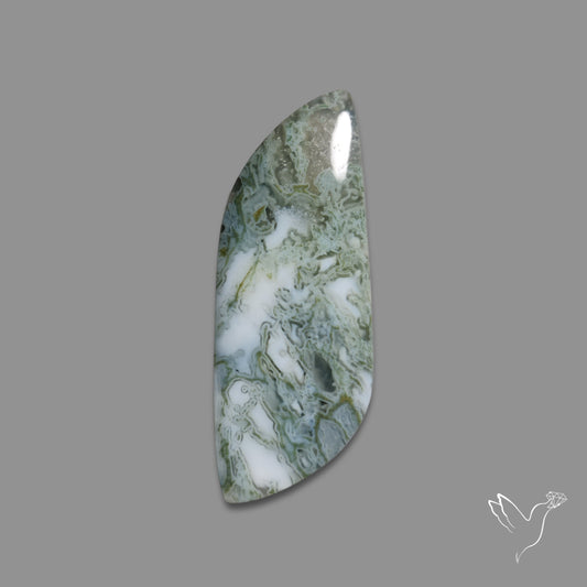 White Horse Canyon Moss Agate Cabochon