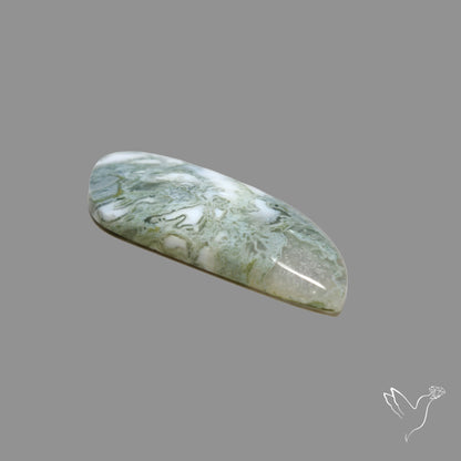 White Horse Canyon Moss Agate Cabochon