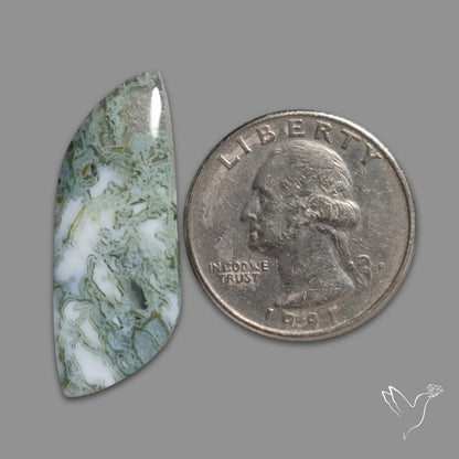 White Horse Canyon Moss Agate Cabochon