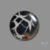 Black Septarian Fossil Cabochon