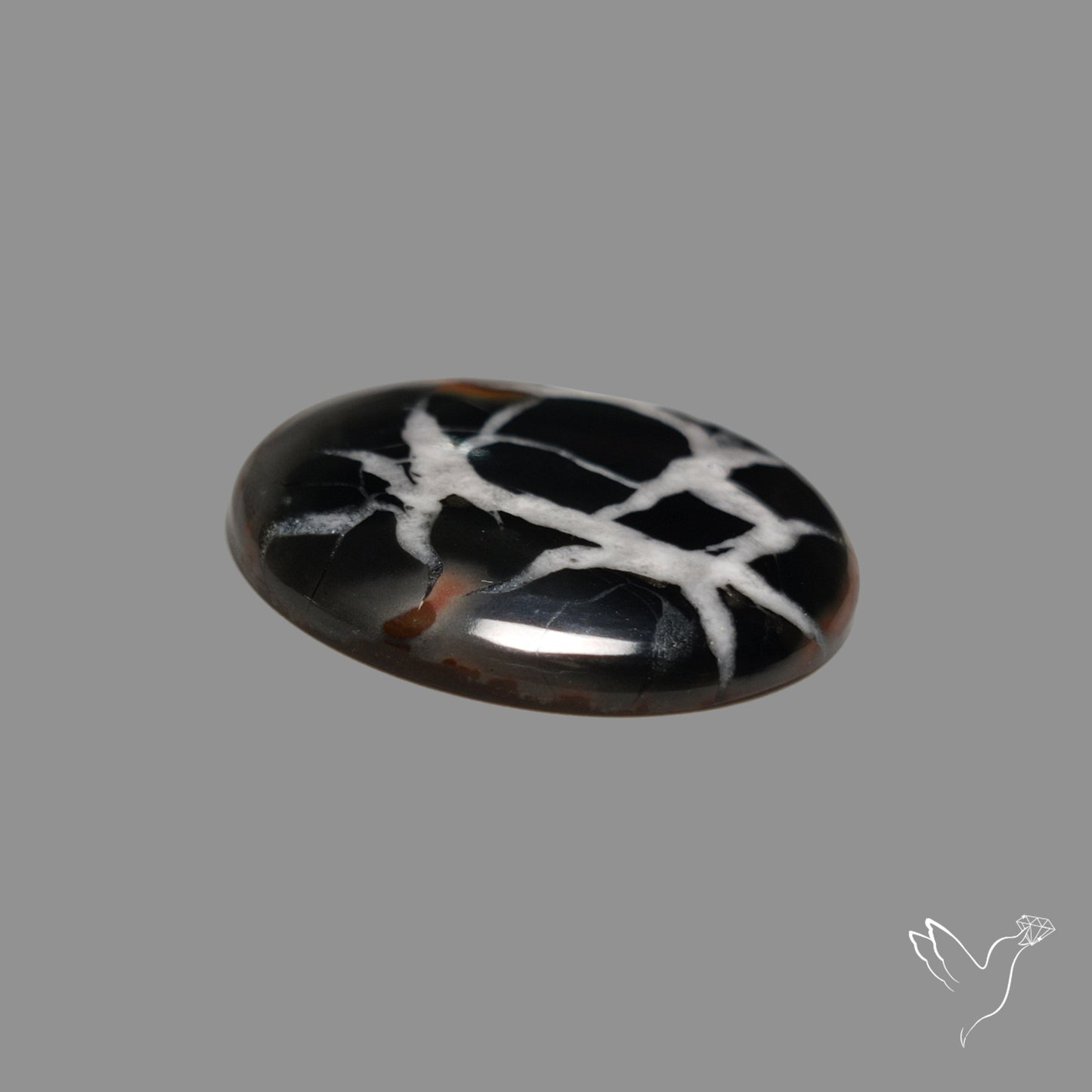 Black Septarian Fossil Cabochon