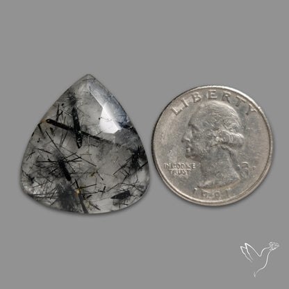 Rose Cut Black Tourmalinated Quartz