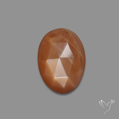 Rose Cut Peach Moonstone