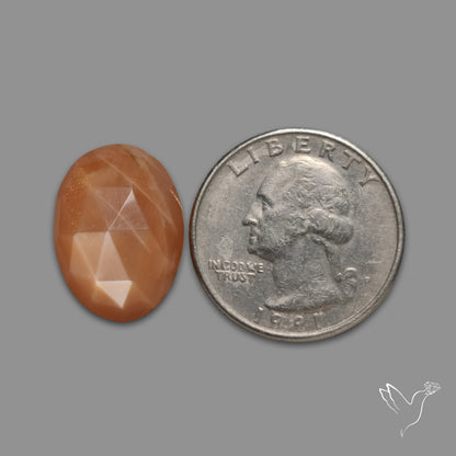 Rose Cut Peach Moonstone