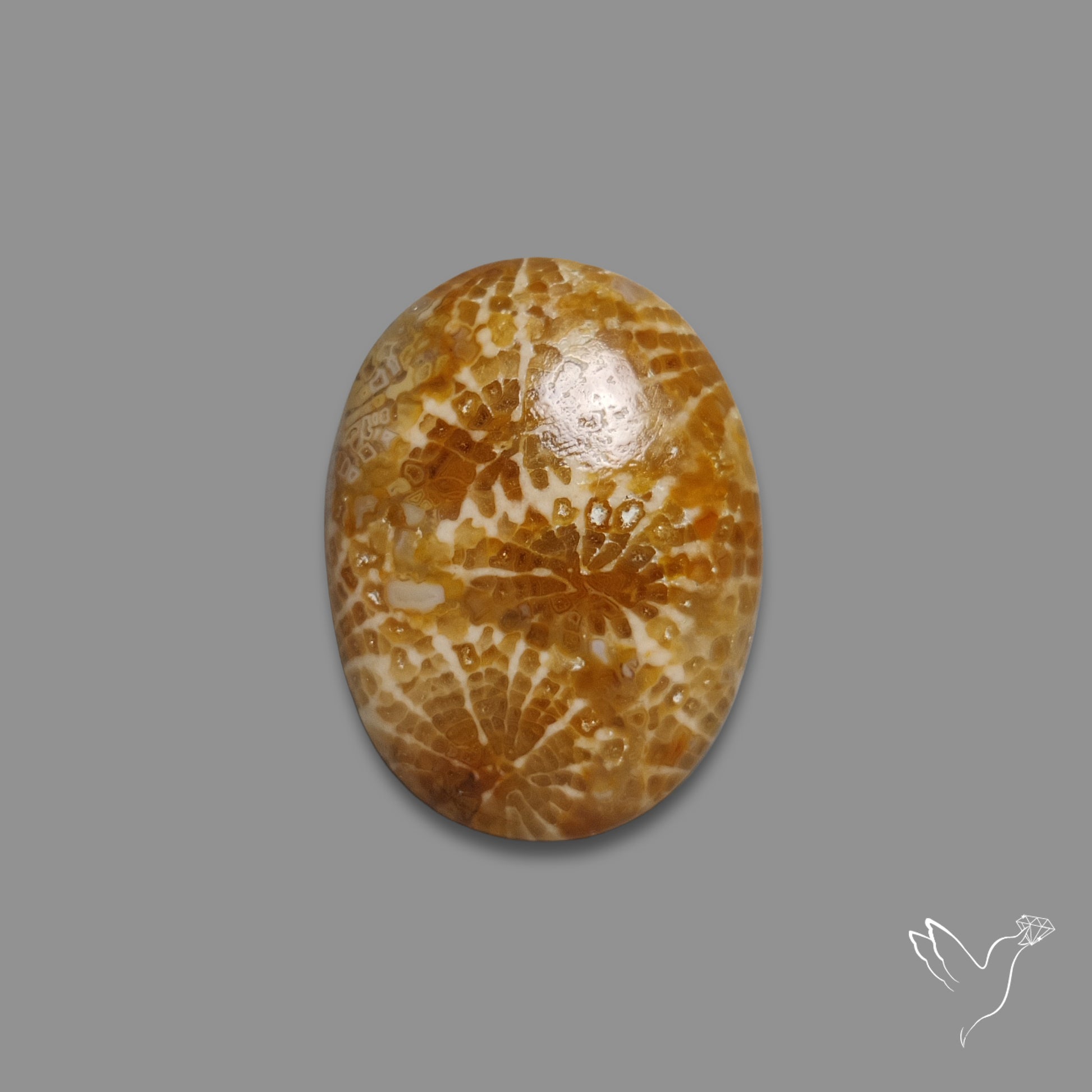 Fossil Coral Cabochon