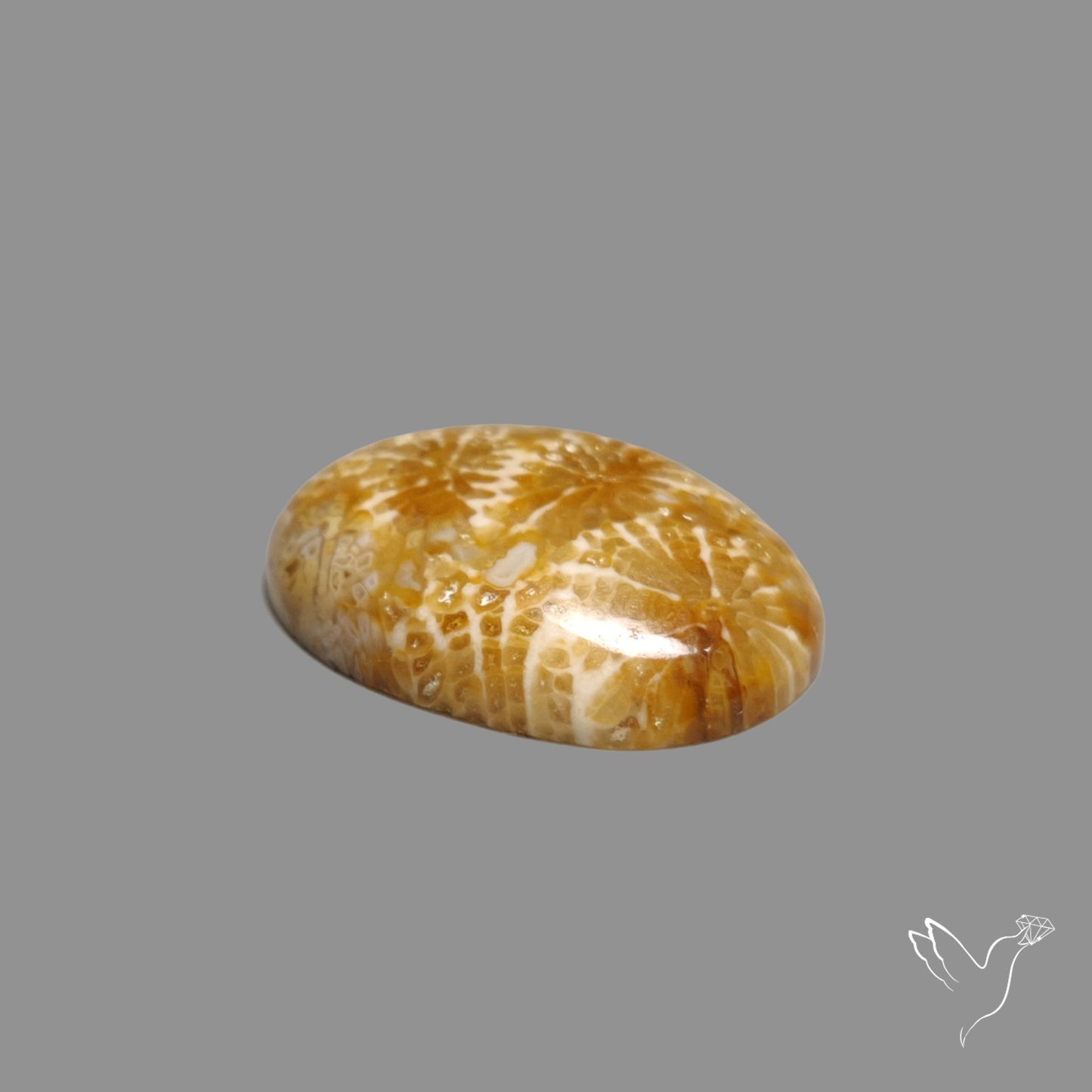 Fossil Coral Cabochon