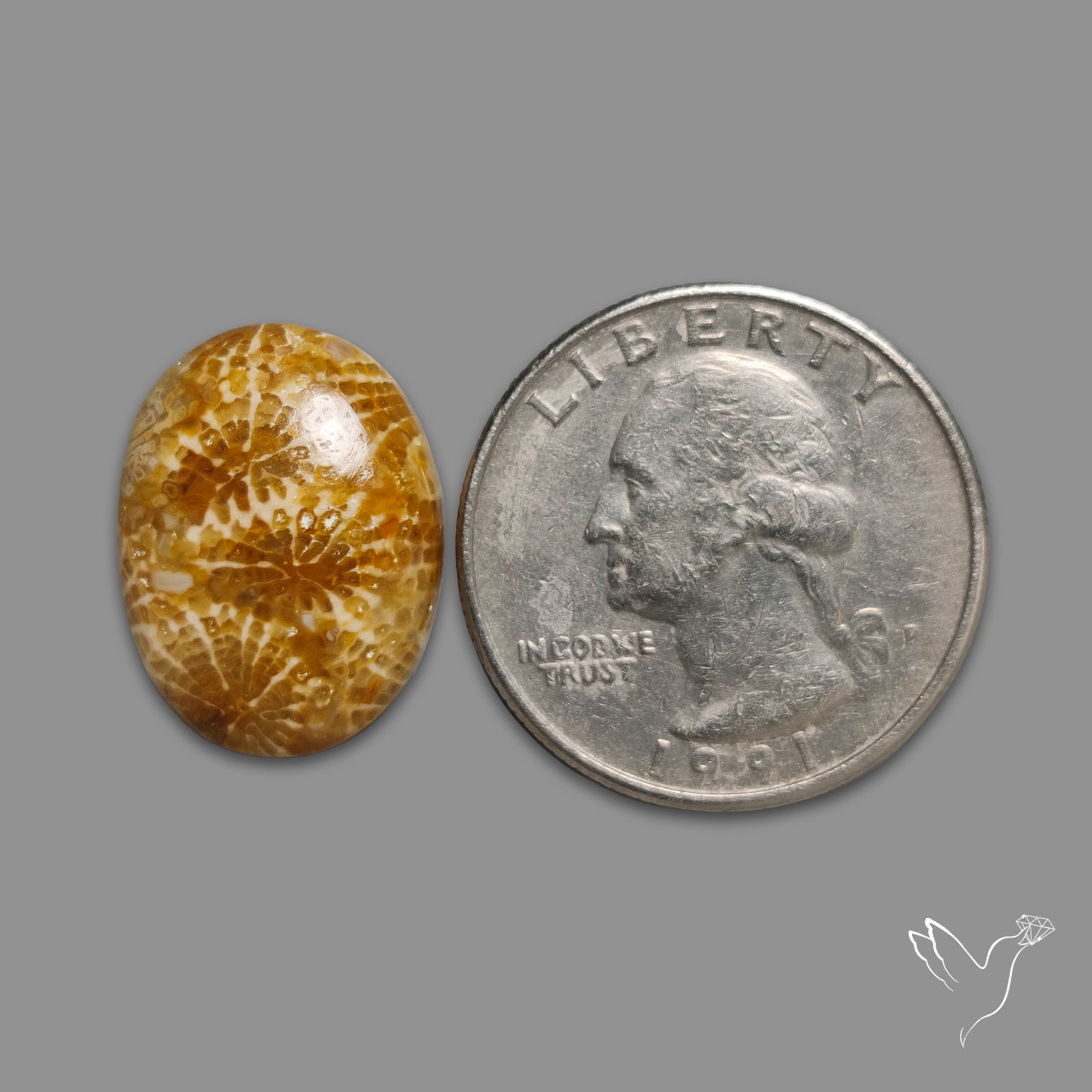 Fossil Coral Cabochon