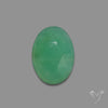 Rose Cut Gemmy Chrysoprase