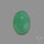 Rose Cut Gemmy Chrysoprase