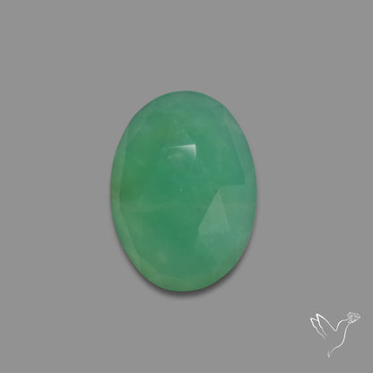 Rose Cut Gemmy Chrysoprase