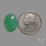 Rose Cut Gemmy Chrysoprase