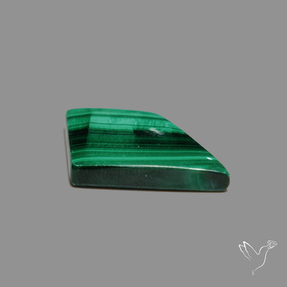 Bisbe Malachite with Chattoyancy Cabochon