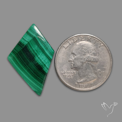 Bisbe Malachite with Chattoyancy Cabochon