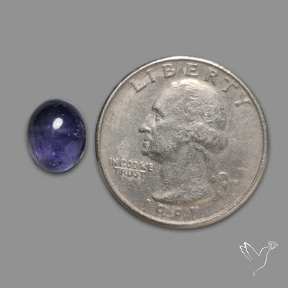 Iolite Cabochon