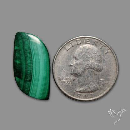 Bisbee Malachite with Chattoyancy Cabochon