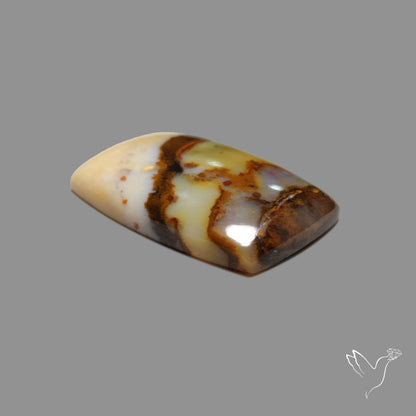 Polka Dot Agate