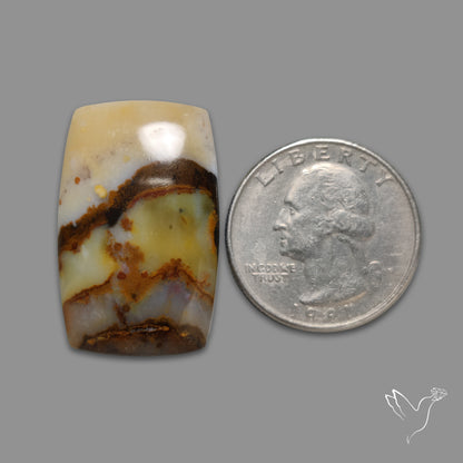 Polka Dot Agate