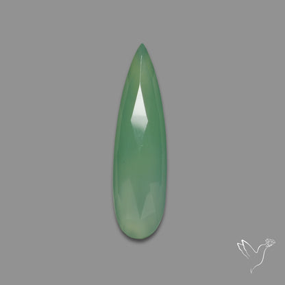 Rose Cut Gemmy Chrysoprase