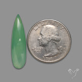 Rose Cut Gemmy Chrysoprase