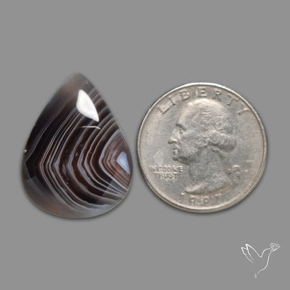 Botswana Agate Cabochon