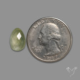Checkerboard Cut Prehnite