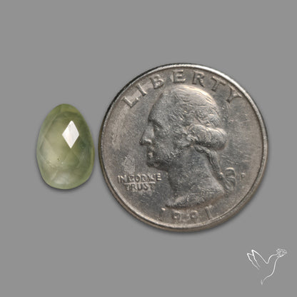 Checkerboard Cut Prehnite