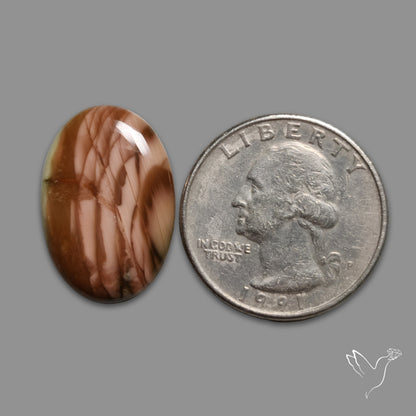 Royal Imperial Jasper