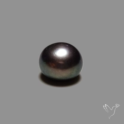 Coated Freshwater Pearl Bead