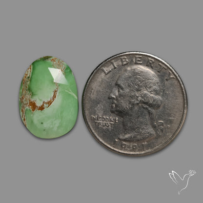 Rose Cut Australian Variscite