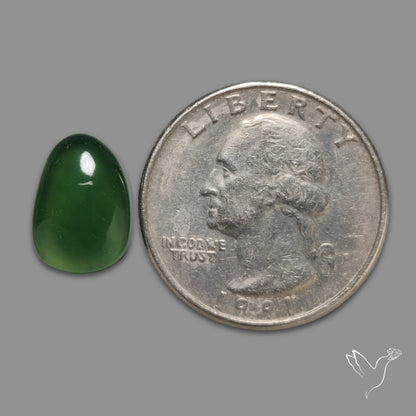 Gemmy Serpentine