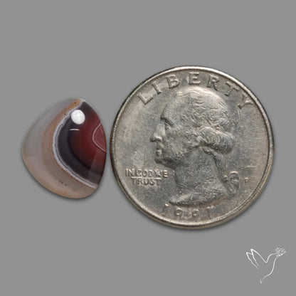 Botswana Agate Cabochon
