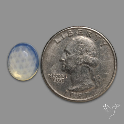 Honeycomb Cut Opalite