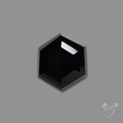 Portrait Cut Black Onyx