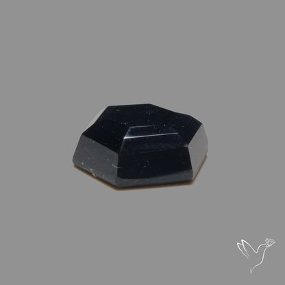 Portrait Cut Black Onyx