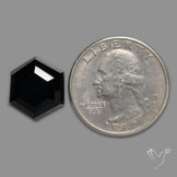 Portrait Cut Black Onyx