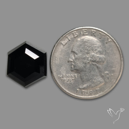 Portrait Cut Black Onyx