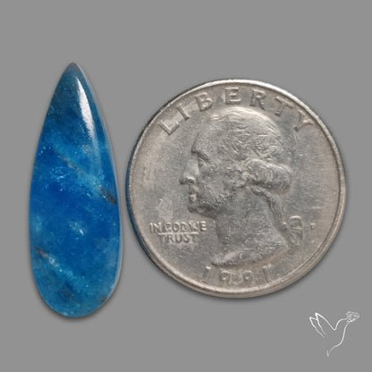 Neon Apatite Cabochon
