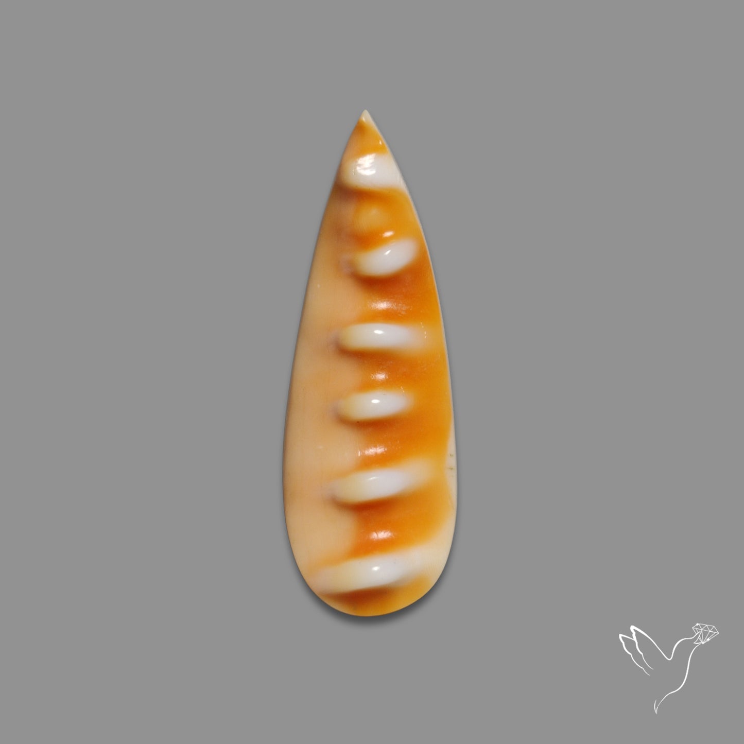 Spiny Oyster Shell