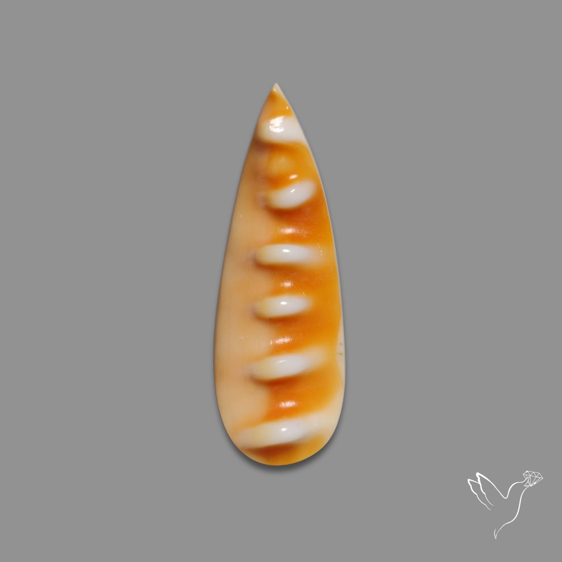 Spiny Oyster Shell