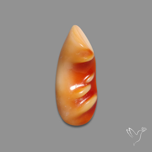 Spiny Oyster Shell