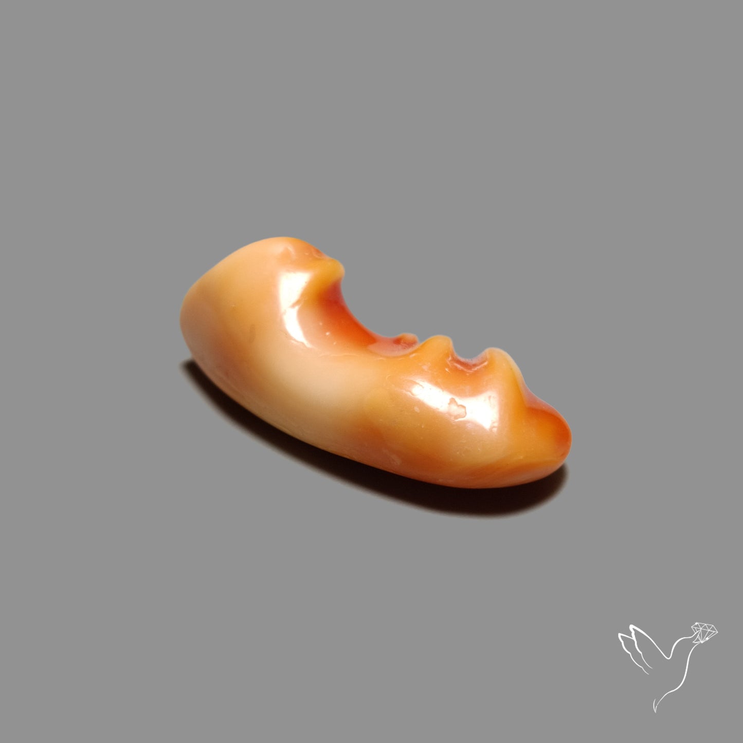 Spiny Oyster Shell