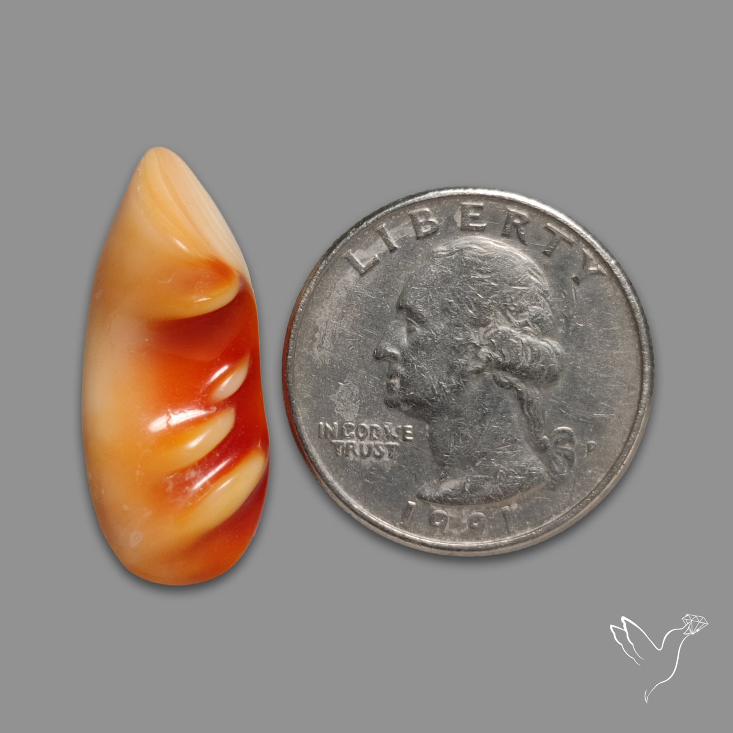Spiny Oyster Shell