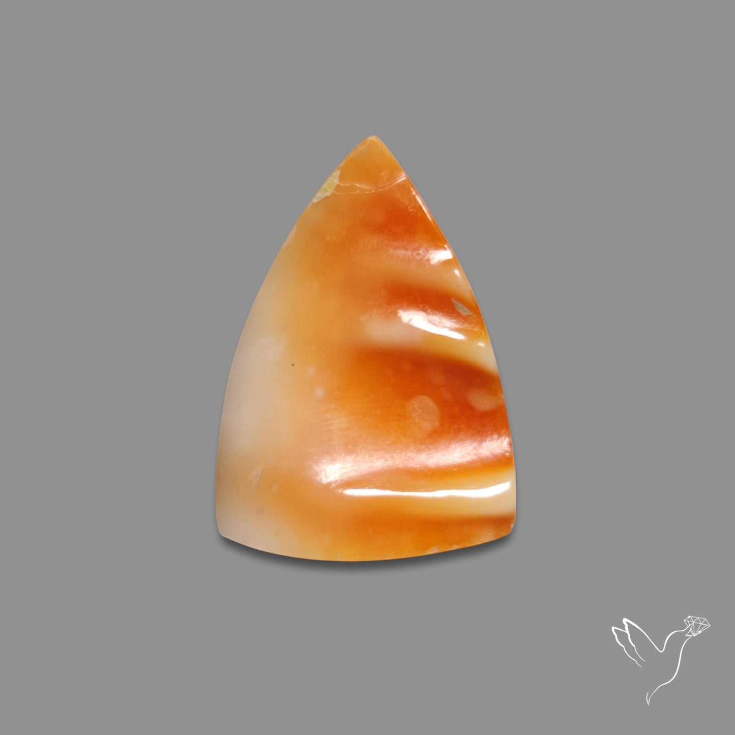 Spiny Oyster Shell